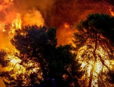 Ποιος ήταν ο σχεδιασμός αντιμετώπισης των δασικών πυρκαγιών: Τι λέει το έγγραφο του υπουργείου ΠΡΟ.ΠΟ